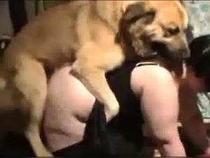 Bestiality videos for extreme sex lovers