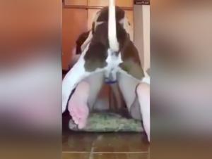 Amateur Bestiality Sex Videos with Dog