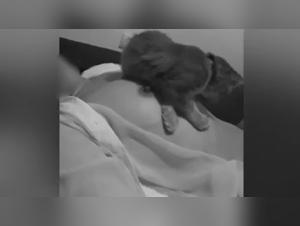 Woman and cat: a unique relationship