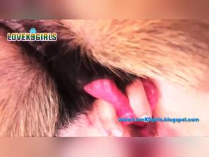 Bestiality sex video: Watch her take back the knot