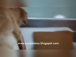 Intense ride: A woman and a horse in a shocking bestiality video