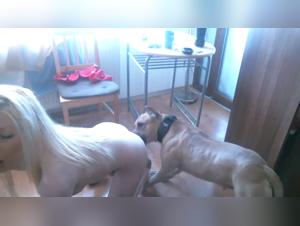 Bestiality sex video: a woman and her dog