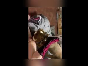 Forbidden Desires: Beast and Woman