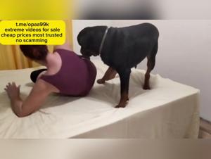 Bestial sex video: sexy woman and dog