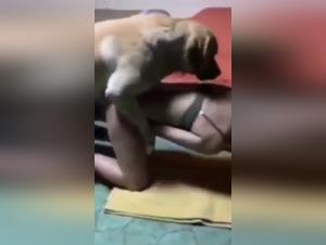 Peaceful bestiality video: explore the limits of ecstasy