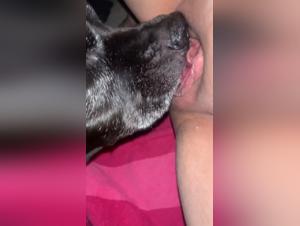 extreme zoophilic explorations