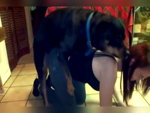 Forbidden Meeting: Woman and Dog