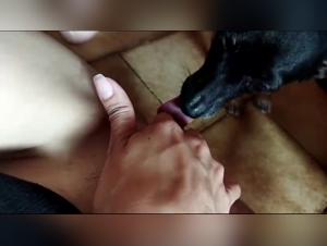 bestialityporn first time dog