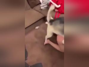 Chinese Teenage Girl and Her Bestial Adventure