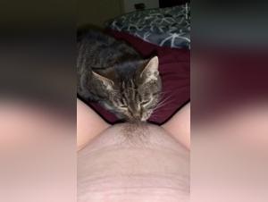 Kitty's Intimate Moment with Her Furry Friend