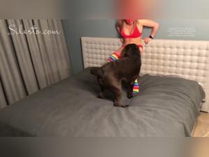 Get Wild: Extreme Zoophilia on ZTube