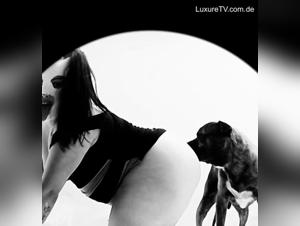 Denise Frazier's beastiality with her dog: the hottest free video