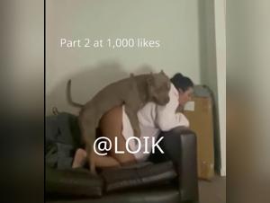 Animal Exploitation : Controversial Videos