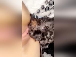 Forbidden meeting: Woman and dog