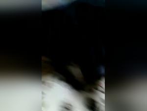 Asian woman and her dog in shocking video