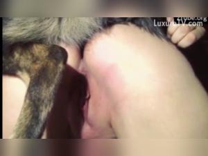 Into the Depths of Tickzoo