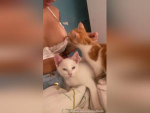 Mc Pipokinha and his bestial adventure