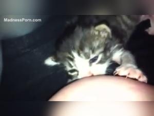 Woman and Dog: A Forbidden Encounter