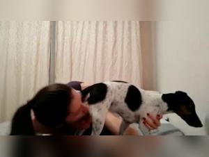 Bestiality sex: a woman and her dog
