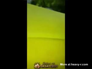 Woman and Dog: An Unexpected Meeting in Video