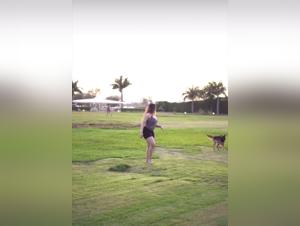 passion dog love story