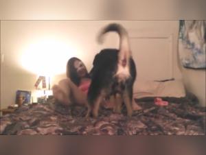 Rebel Dog Sex: The Best Zoophilia Videos