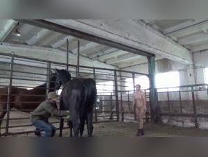 El abismo de los deseos animales