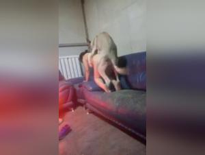 zooskool : in the wild