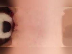 Dog Sex Video: A Young Girl and Her Four-Legged Best Friend