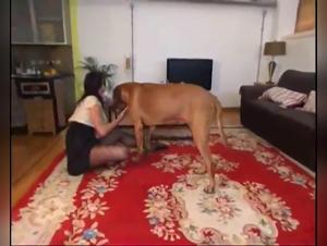 Zaina from K9 Dolls in a Dog Sex Experience