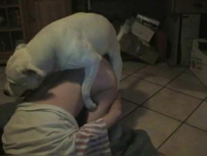 Bestiality sex videos featuring women and dogs