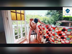 Female Dog's Hot Anal Sex with a Big Dick