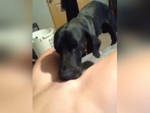 Bestiality: A teen and her dog