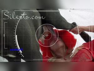 Bestiality Stories to Satisfy Your Wild Fantasies