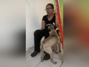 Bestiality: Amateur Woman and Her Dog