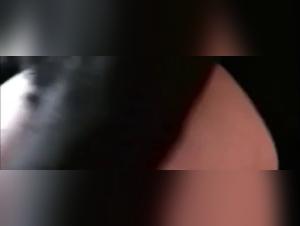 Primera vez: mi esposa y el perro.