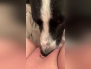 Forbidden Encounter: Woman and Dog