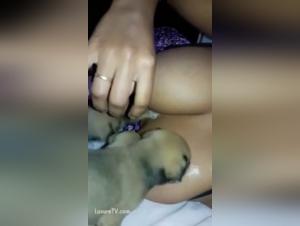 Intense breastfeeding: women and dogs in bestiality sex videos