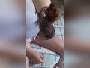 Forbidden Frontiers: Tiersex and Zoo Art