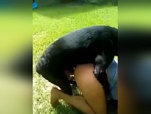 Bestial encounter: woman and dog