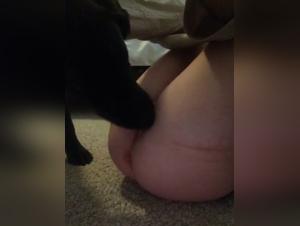 A beastly encounter: Zoophilia video with a dog