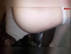 Forbidden Love: Man and His Dog