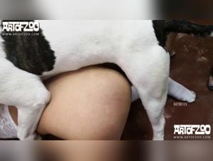 La chica francesa pierde los frenos y se hace follar por el perro
