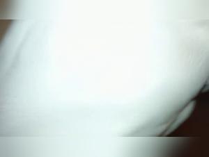 Fantasia de zoofilia: hace realidad su sueno con un perro