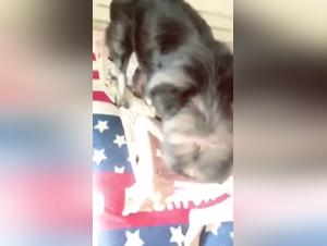 Mature Asian woman and her dog: a zoophilia video not to be missed