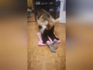 An Unforgettable Experience: Sex with a Dog