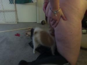 Vidéo de Sexe avec Chien : Une Expérience Intense et Excitante