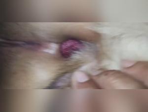 Cat sex and a housewife's dirty little secret