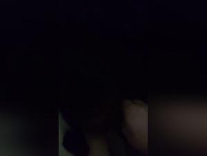 An Intimate Encounter with a Four-Legged Friend