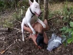 A beastly encounter in the forest